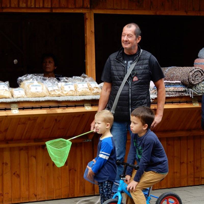 Helyi Értékek Startja 24